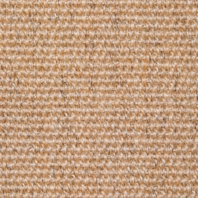 Sisal Natap  Maxcanu  Zalm