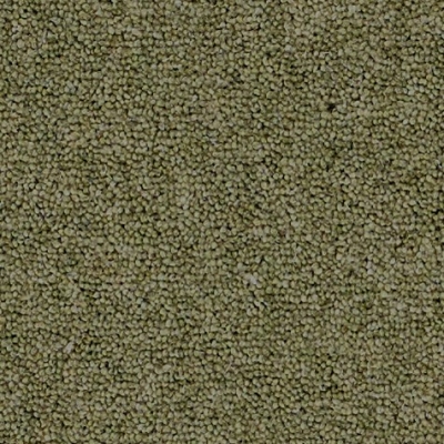 Wol Natap  Wooltwist Ceder