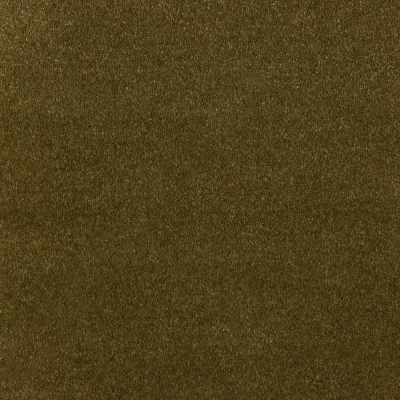 Duurzaam tapijt Van Besouw 2606 190